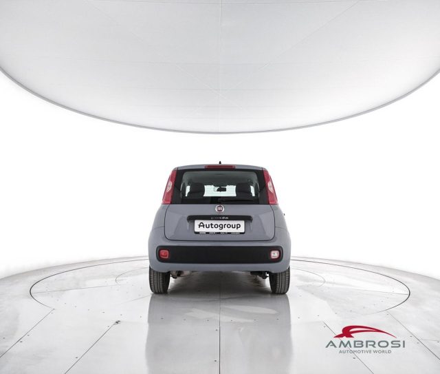 FIAT Panda usata 5
