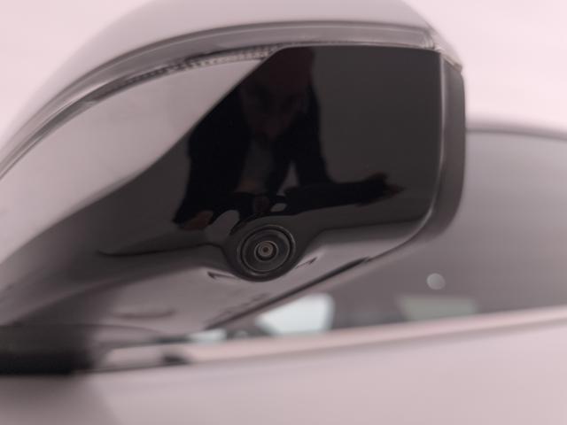 BYD Seal U usata, con Climatizzatore