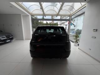 FIAT Grande Panda usata, con Volante in pelle