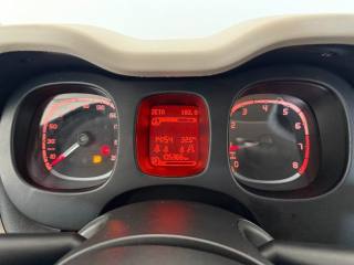 FIAT Panda usata 12