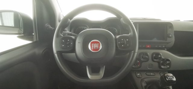 FIAT Panda usata 35