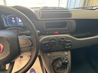 FIAT Pandina usata, con Immobilizzatore elettronico