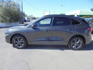 FORD Kuga usata, con Fendinebbia