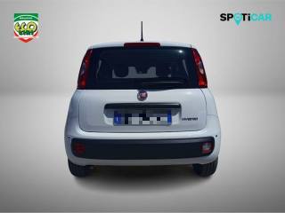 FIAT Pandina usata, con Autoradio