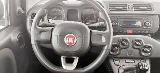 FIAT Panda usata 37