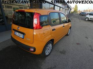 FIAT Panda usata, con Controllo trazione