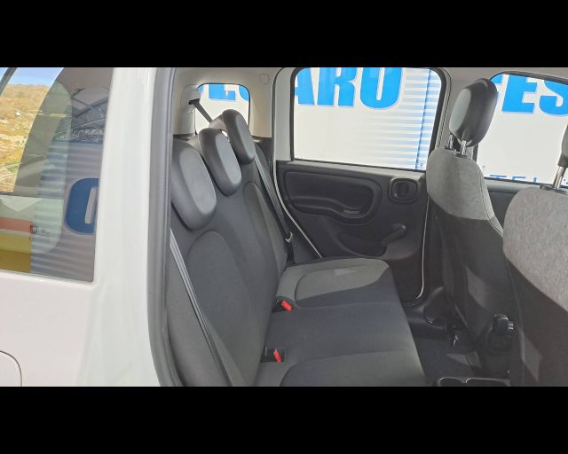 FIAT New Panda usata 14