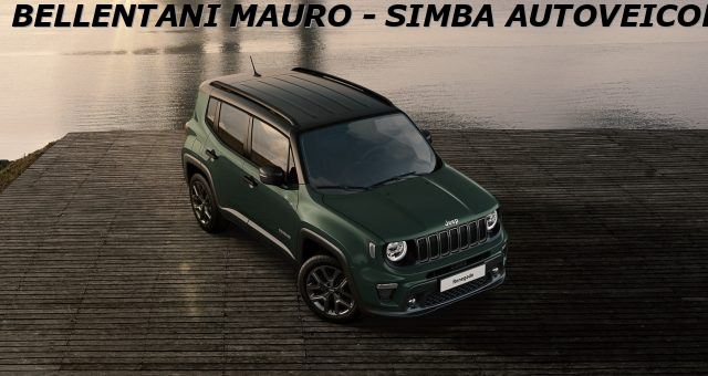 JEEP Renegade usata, con Cerchi in lega