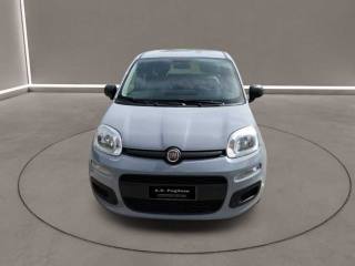 FIAT Panda usata, con Airbag