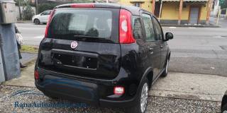 FIAT Panda usata, con Fendinebbia