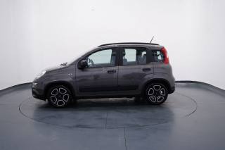 FIAT New Panda usata, con Controllo trazione