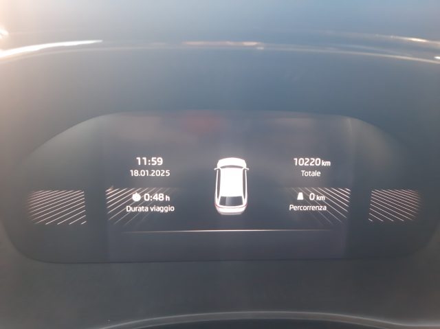 SKODA Fabia usata, con Airbag testa