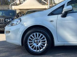 FIAT Punto usata, con Chiusura centralizzata