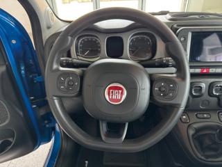 FIAT Panda Cross usata, con Controllo automatico clima