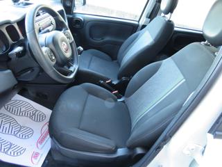 FIAT Panda usata 23