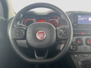 FIAT Panda usata 11