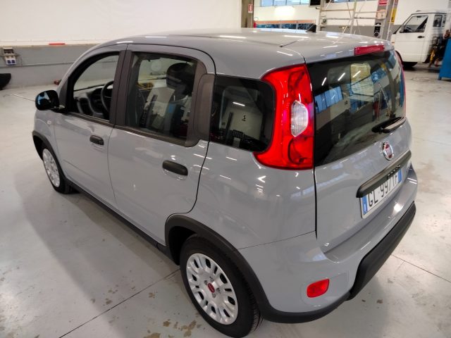 FIAT Panda usata, con Controllo trazione