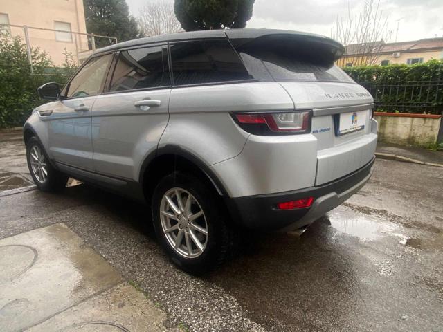 LAND ROVER Range Rover Evoque usata 5