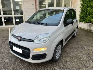 FIAT Panda usata 2