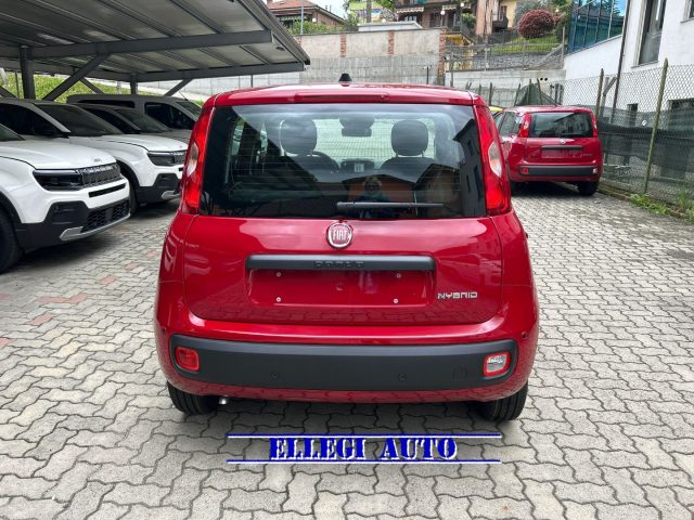 FIAT Panda usata, con Alzacristalli elettrici