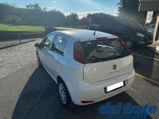 FIAT Punto usata, con Airbag Passeggero