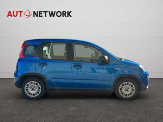 FIAT Panda usata, con Controllo trazione