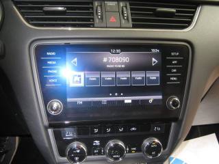 SKODA Octavia usata, con Servosterzo