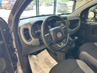 FIAT Panda usata 17