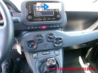 FIAT Panda usata, con Antifurto