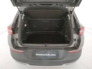 OPEL Grandland X usata, con Luci diurne LED