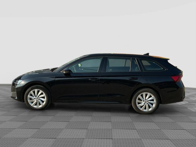 SKODA Octavia usata 1
