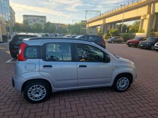 FIAT Panda usata, con Airbag Passeggero