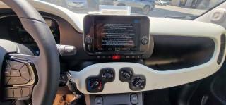 FIAT Panda usata, con Antifurto