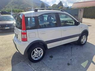 FIAT Panda usata 38