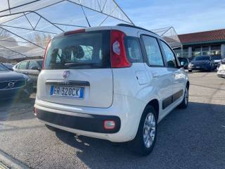 FIAT Panda usata, con Alzacristalli elettrici