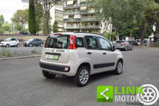 FIAT Panda usata, con Airbag Passeggero