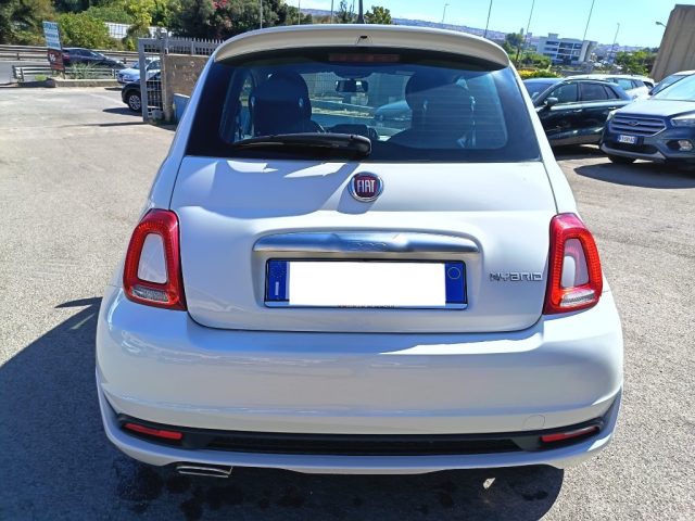 FIAT 500 usata 7