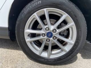 FORD Focus usata, con USB