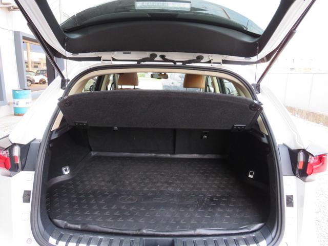 LEXUS NX 300 usata, con Interni in pelle