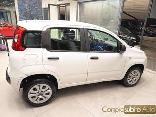 FIAT Panda usata, con Climatizzatore