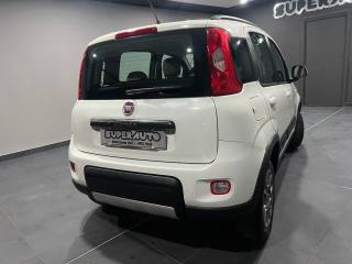FIAT Panda usata, con Antifurto
