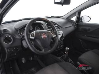 FIAT Punto usata 7
