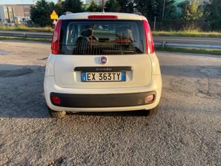 FIAT Panda usata, con Alzacristalli elettrici