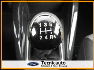 FORD EcoSport usata 18