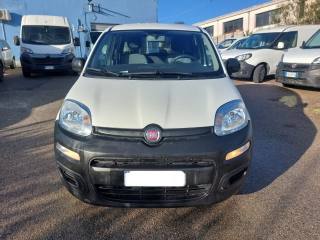 FIAT Panda usata 2