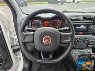 FIAT Panda usata, con Servosterzo