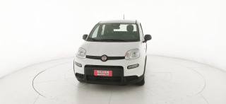 FIAT Panda usata 26