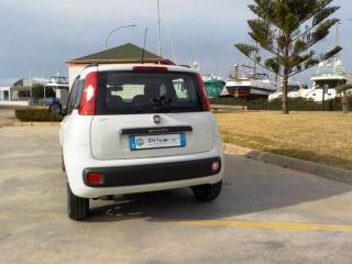 FIAT Panda usata, con Boardcomputer