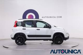 FIAT Panda Cross usata, con Alzacristalli elettrici