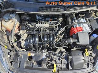 FORD Fiesta usata 15